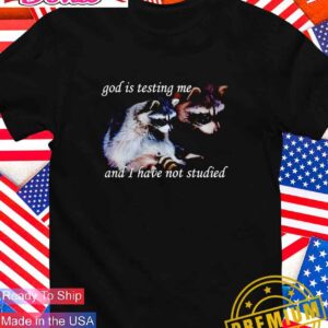 Raccoon God is testing me and I have not studied T-Shirt