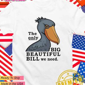 The only big beautiful bill we need T-Shirt