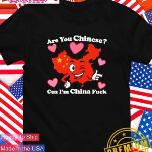 Are you Chinese cuz I’m China fck map T-Shirt